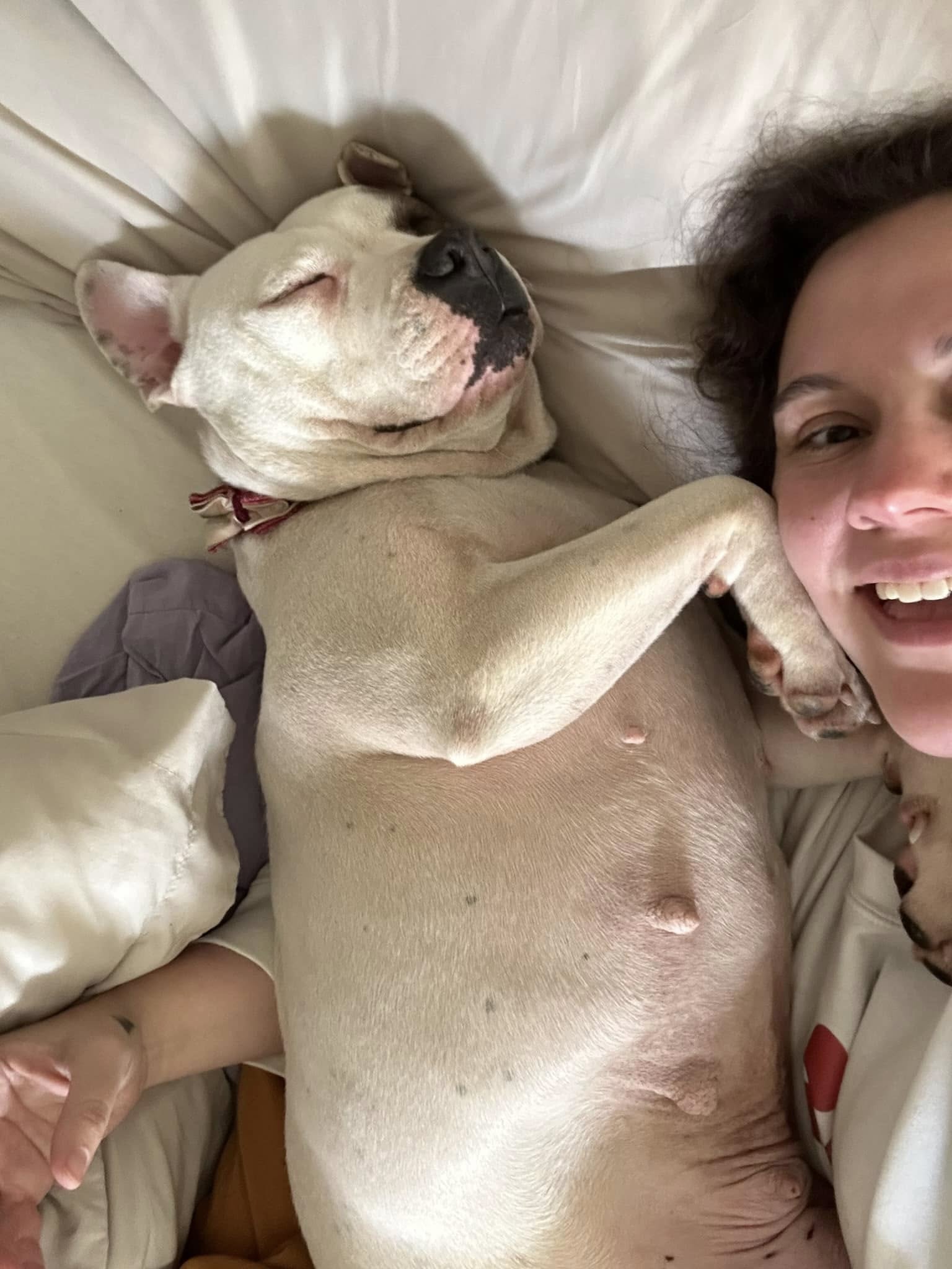 woman and dog in bed