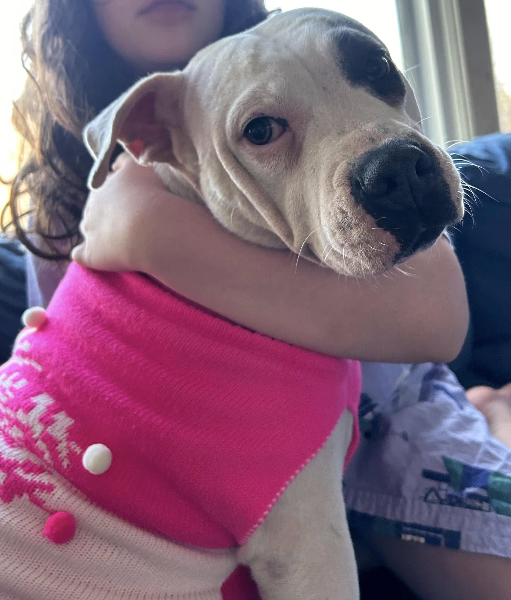 woman hugging a white dog