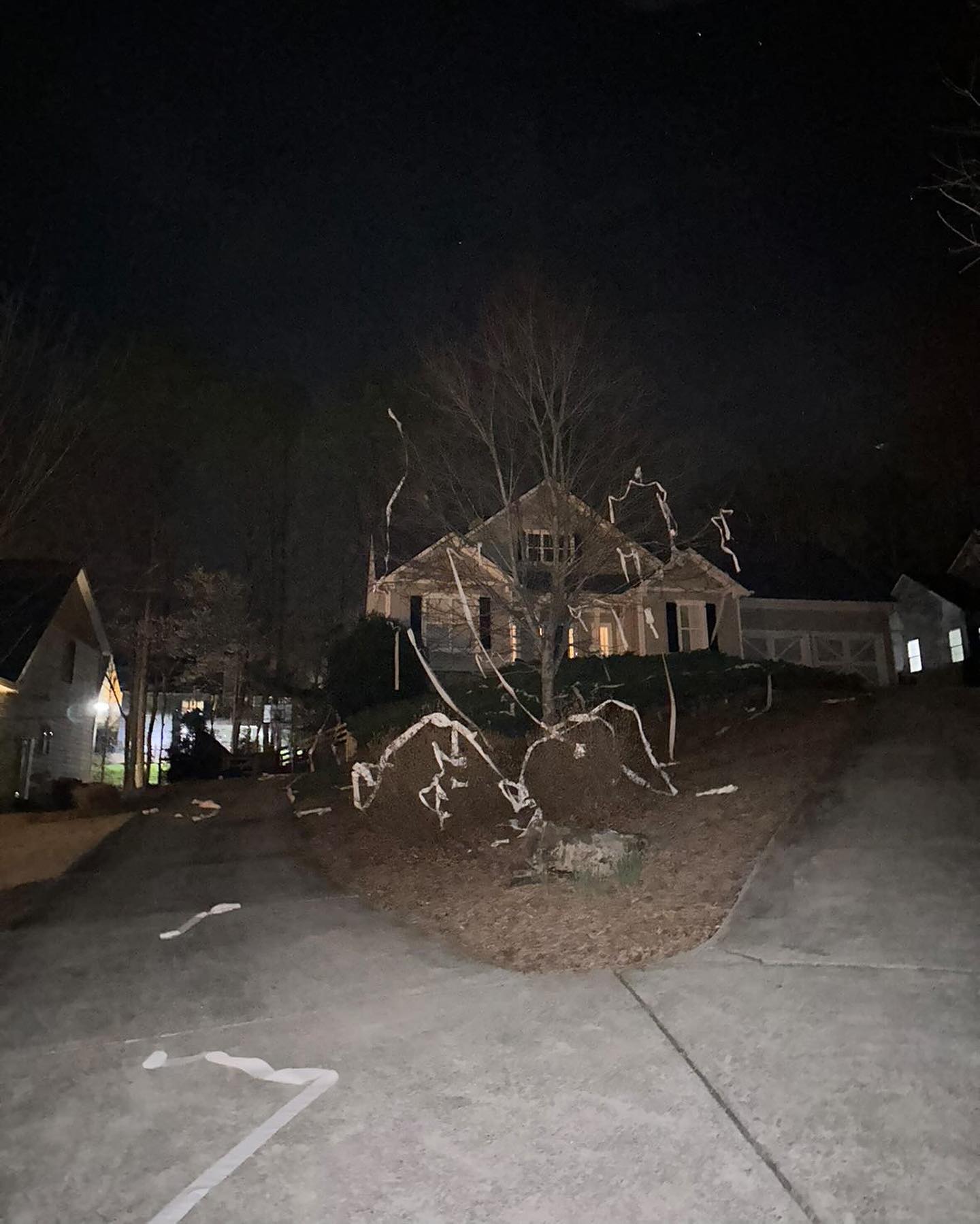 A house and a tree in front of it are covered in toilet paper at night.