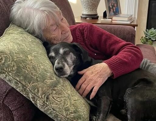 While My Family Argued Over Grandma’s Will, I Took in Her Dog and Uncovered the Secret She Left Behind –