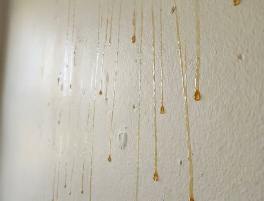Yellow Stuff Starts Dripping Down Your Bathroom Walls? Here’s What It Might Be – Dogrupara News