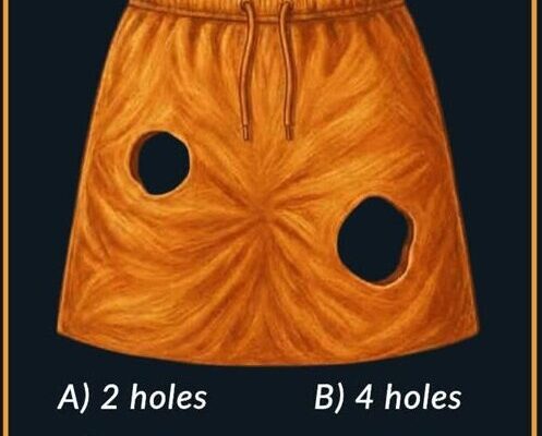 How Many Holes You See in This Skirt Can Reveal Something About You – Dogrupara News