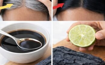 Gray to Black Hair with Natural Charcoal: The Viral Hack – Reality Check – Dogrupara News