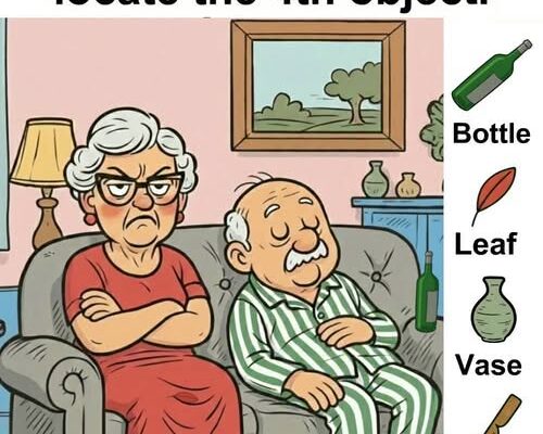 Can You Find the Bottle, Leaf, Vase, and Knife? – Dogrupara News