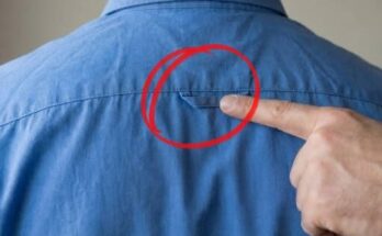 Why Button-Down Shirts Have Loops On the Back – Dogrupara News