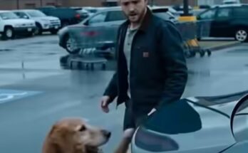 I Opened My Car Trunk to Prove a Stray Dog Wrong… But the Moment the Lid Lifted, the Entire Street Went