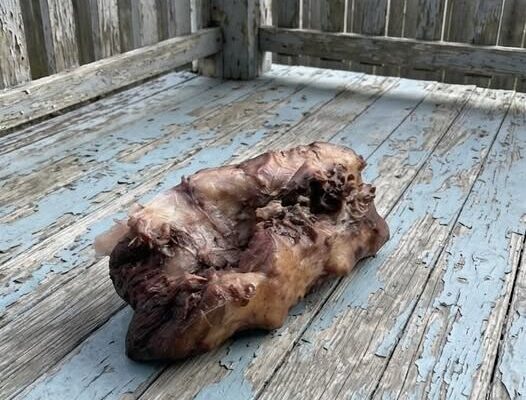 This morning, I stepped out onto my porch to enjoy a cup of coffee and discovered this on the ground. –