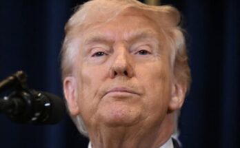 Trump Reappears in the Oval Office After Several Days Away—What People Noticed Sparked Discussion –