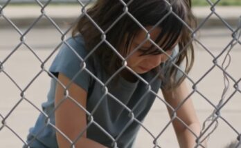 She Jumped Into a Wolf Enclosure to Save a Trapped Cub—Then a Woman Saw the Bracelet on Her Wrist and