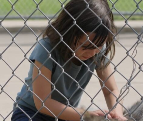 She Jumped Into a Wolf Enclosure to Save a Trapped Cub—Then a Woman Saw the Bracelet on Her Wrist and