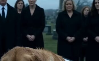 The Dog Wouldn’t Stop Barking at His Owner’s Coffin—Then a Doctor Checked His Pulse and Froze – Dogrupara News