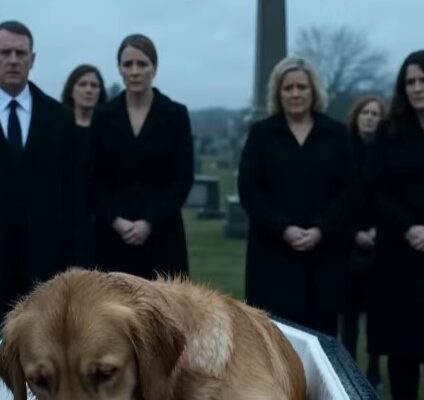 The Dog Wouldn’t Stop Barking at His Owner’s Coffin—Then a Doctor Checked His Pulse and Froze – Dogrupara News
