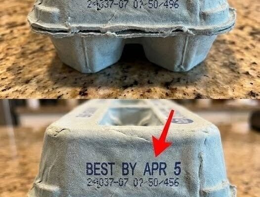 Understanding The Secret Meanings Behind The Codes On Your Egg Cartons – Dogrupara News