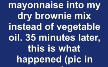 I mixed a cup of real mayonnaise into my dry brownie mix instead of vegetable oil. 35 minutes later, this is