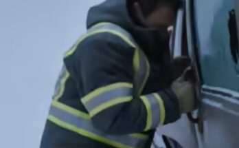 1 Injured Dog, 1 Wrecked Car, 1 Terrifying Discovery – Dogrupara News