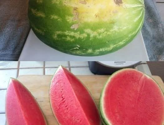 How To Pick The Best Fruits At The Grocery Store – Dogrupara News