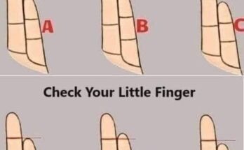 Your little finger reveals beautiful things about your personality – Dogrupara News