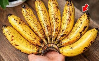 Eating Bananas Before Bed: A Smart Habit or a Hidden Sleep Disruptor? – Dogrupara News