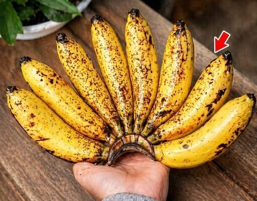 Eating Bananas Before Bed: A Smart Habit or a Hidden Sleep Disruptor? – Dogrupara News