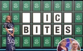 Wheel of Fortune Player Wins $71,000 After Cracking This Easy Puzzle – Dogrupara News