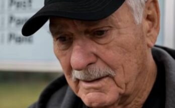 A Group of Teens Mocked an Elderly Veteran—Then Something Unexpected Happened – Dogrupara News