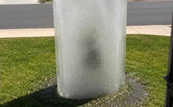 A Giant Block of Ice Appeared on My Lawn Overnight—What Happened After It Melted Left Me Speechless –