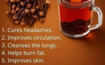 18 Effective Ways to Use Clove Tea for Natural Healing and Health Benefits – Dogrupara News