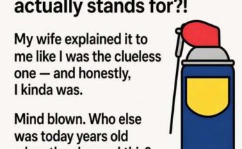 The Real Meaning Behind WD-40 Might Surprise You – Dogrupara News