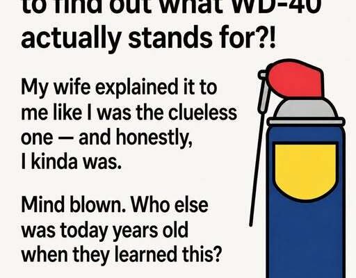 The Real Meaning Behind WD-40 Might Surprise You – Dogrupara News