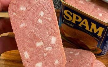 What Those White Bits in Spam Actually Are – Dogrupara News