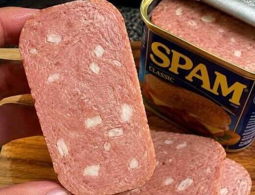 What Those White Bits in Spam Actually Are – Dogrupara News