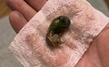 The Strange Thing We Found on the Bathroom Floor — And the Truth Shocked Us – Dogrupara News