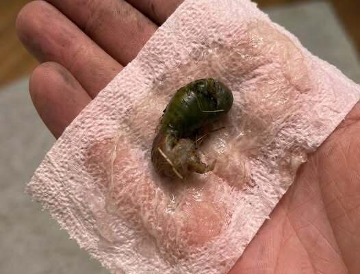 The Strange Thing We Found on the Bathroom Floor — And the Truth Shocked Us – Dogrupara News