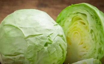 These people should not eat it. – Dogrupara News