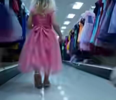 A Pit Bull Ran Into a Store and Grabbed a Little Girl’s Dress… What Happened Next Shocked Everyone –