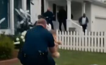 The Babysitter Thought The 6-Year-Old Was Just Waving At The Window – Dogrupara News