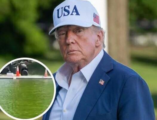 Former Olympian Among Those Arrested in Reflecting Pool Vandalism Case – Dogrupara News