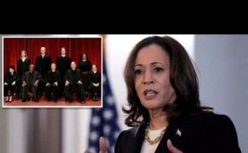 Harris Faces Criticism Over SCOTUS and Electoral College Reform Proposals – Dogrupara News