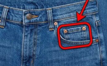 14+ Everyday Objects With Unusual Secret Features – Dogrupara News