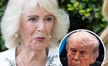 A Small Detail in Queen Camilla’s Outfit Has Everyone Talking – Dogrupara News