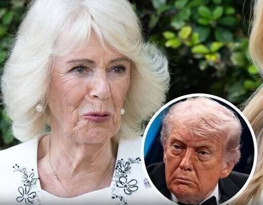 A Small Detail in Queen Camilla’s Outfit Has Everyone Talking – Dogrupara News
