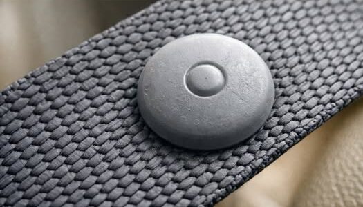 What the Little Button on Your Seat Belt Really Does – Dogrupara News