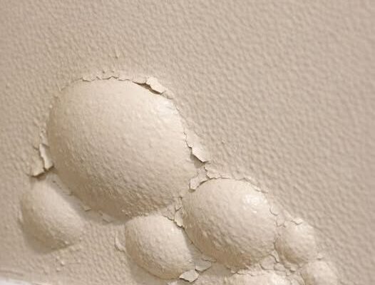 Strange Soft Bubbles Forming Under My Wall Paint—Is It Just Humidity or Something More? – Dogrupara News