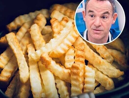 Why Experts Say You Shouldn’t Replace Your Oven With an Air Fryer – Dogrupara News