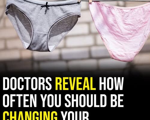 Health Experts Share What Many Don’t Realize About Everyday Underwear Habits – Dogrupara News