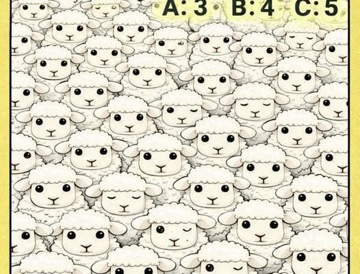 Only Sharp Eyes Can Spot All the Sleeping Sheep — Can You? – Dogrupara News