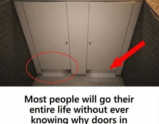 You probably don’t know this: why don’t public restroom doors reach the floor – Dogrupara News