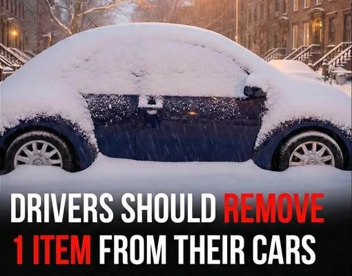 Winter Safety Alert: Experts Urge Drivers to Remove Common Electronic Items as Major Storm Hits Northeast –