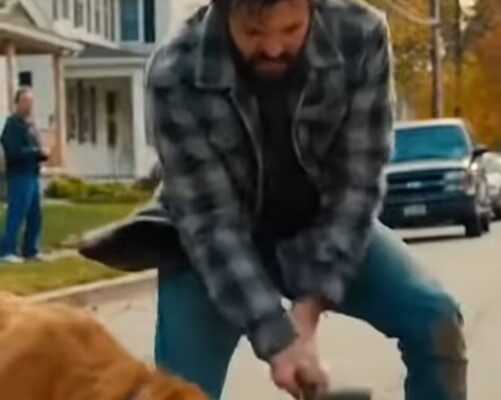 For Seven Nights, A Stray Dog Refused To Leave An Abandoned Suitcase In My Driveway. Then I Discovered Why –