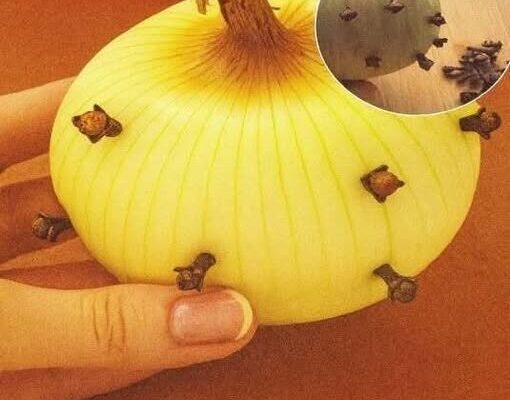 Why Some Families Place Cloves in an Onion: A Look at This Traditional Practice – Dogrupara News
